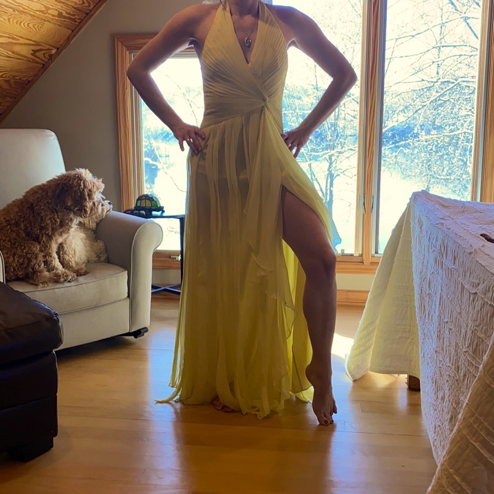 BCBG Maxazria Dress
